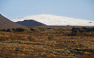 MtSkjaldbreidur-Thingvellir-Iceland310x191.jpg