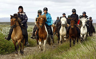 Horse Riding Tours