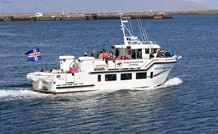 Boat Tours