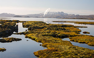 Our most popular day tours in Iceland