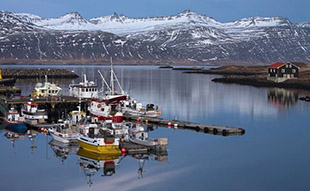 djupivogur-harbour-iceland310.jpg
