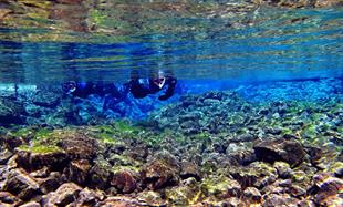 Snorkeling Silfra Self-Drive