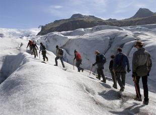 Take a Walk on the Ice Side