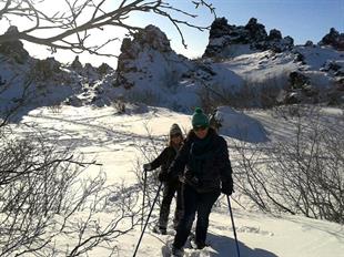 Search for the Trolls at Lake Myvatn