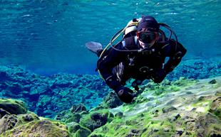 Silfra Diving Day Tour