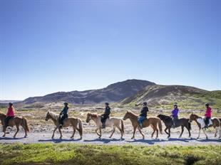 Nature Comfort Horse Riding Tour